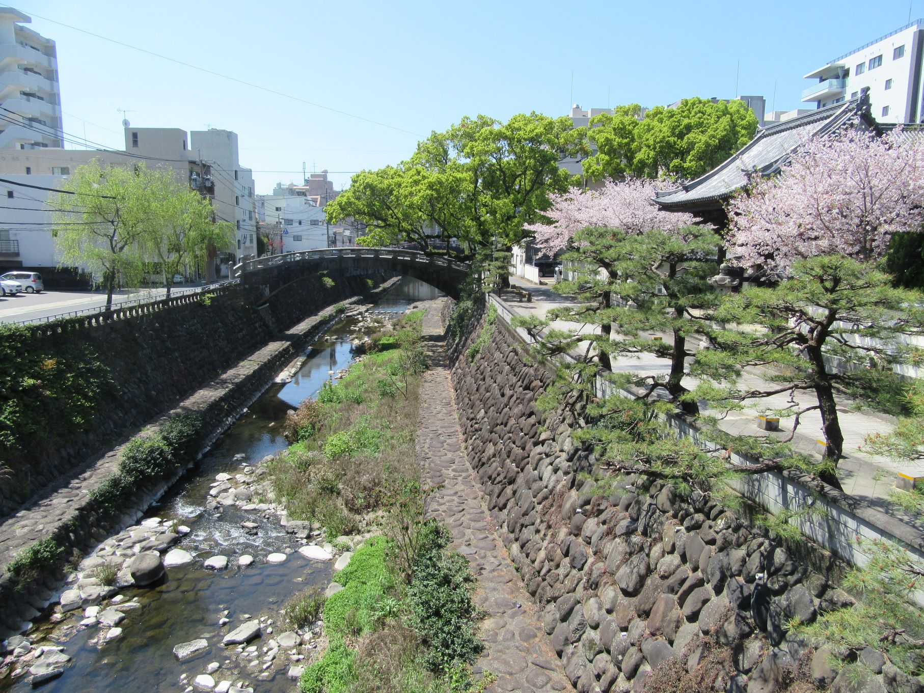 長崎県長崎市の眼鏡橋付近にて撮影した、桜の木や松の木をはじめとした和風の風景です。