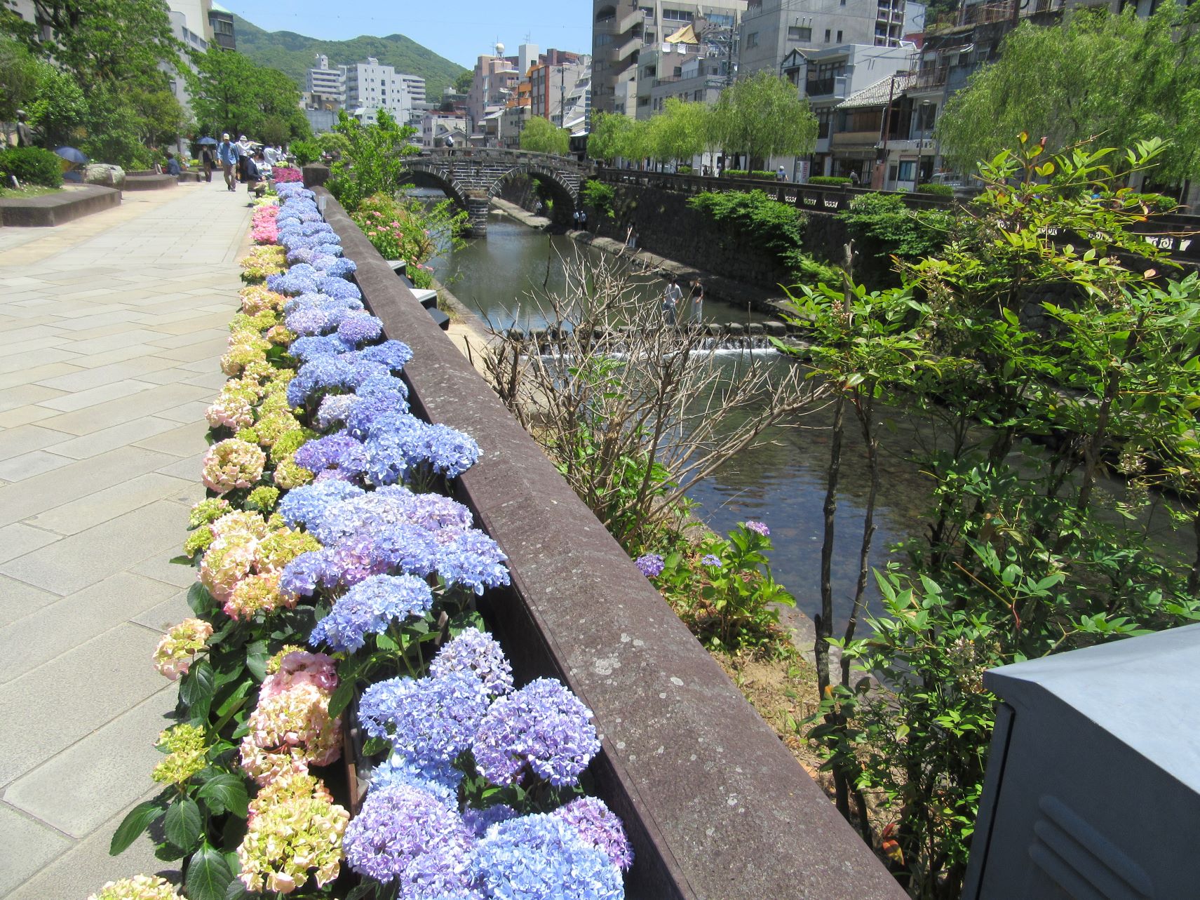 The 'Spectacle Bridge' and hydrangea in Nagasaki, from May to June.