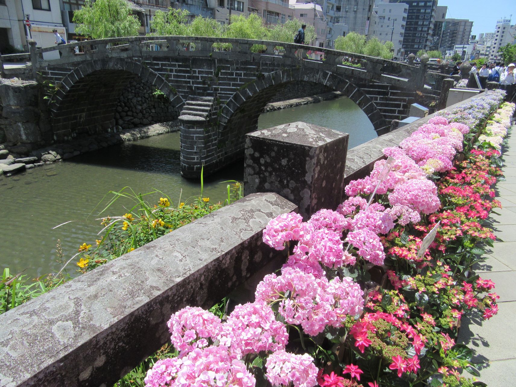 あじさいと、眼鏡橋。