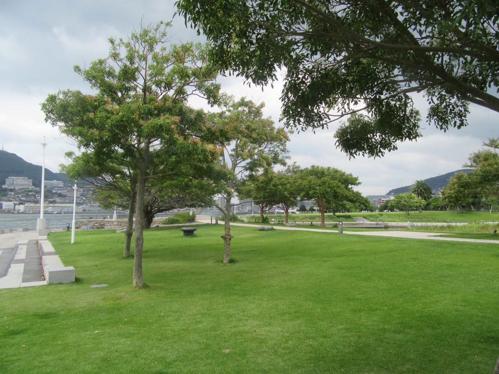 長崎市・長崎水辺の森公園の木々。