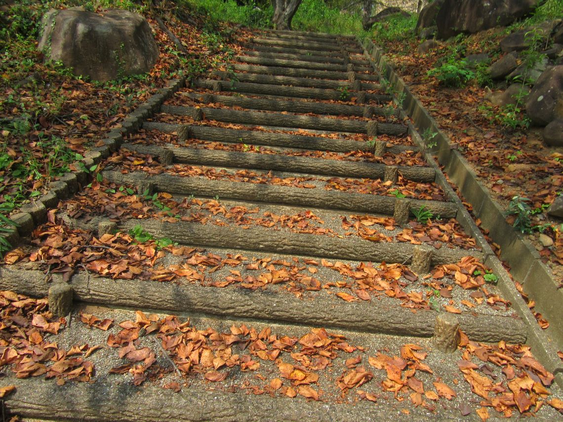長崎県西海市四本堂公園の展望台へ向かう階段。
