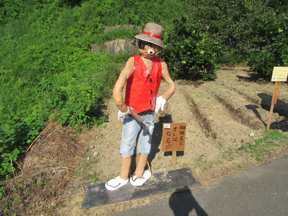 長崎県東彼杵郡波佐見町の鬼木棚田にある、某海賊王を目指すゴムゴムの青年。
