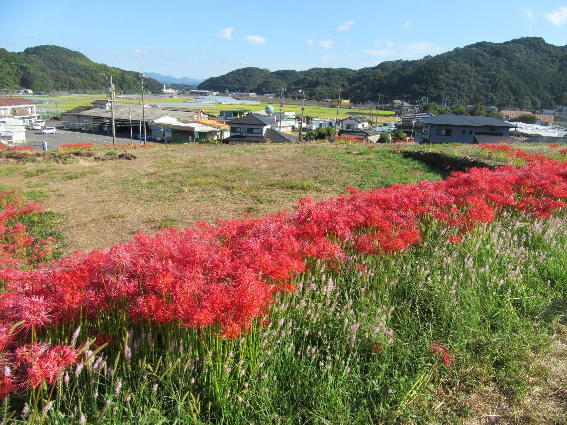 長崎市琴海戸根町にある、社が丘花園の自然豊かな風景。