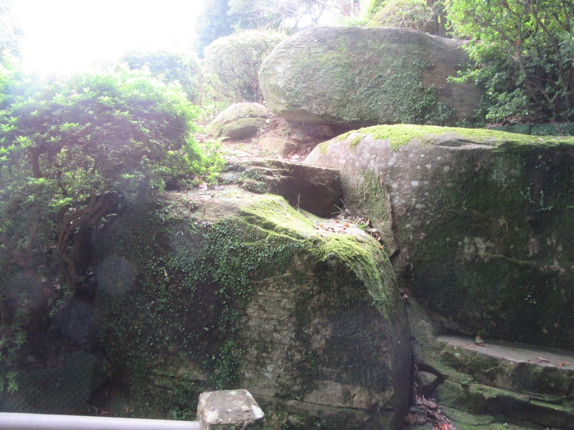 長崎県諫早市にある諫早公園の石に生えた苔。
