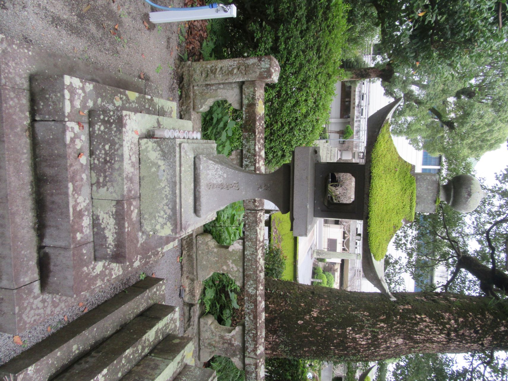 長崎県諫早市にある諫早公園付近にある高城神社にあった帽子みたいな苔。