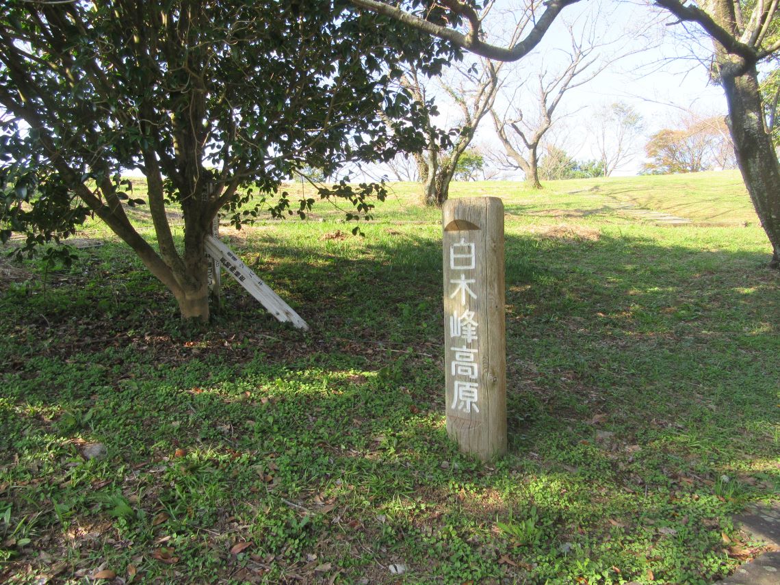 長崎県諫早市の白木峰高原の木でできた素朴な看板。