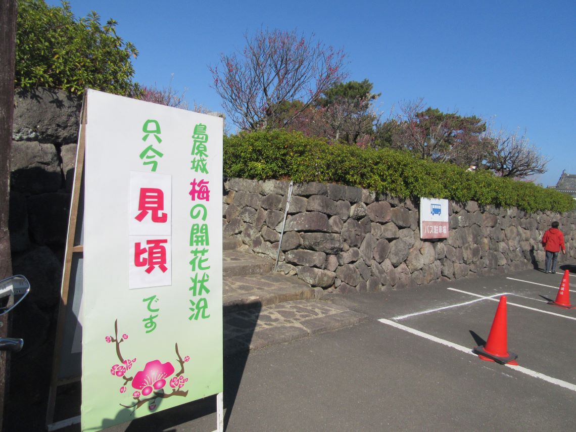 長崎県島原市にある島原城で撮影した、梅の花が見頃だと知らせる看板。