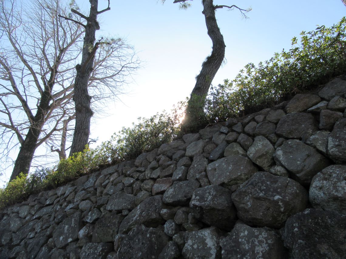 長崎県島原市にある島原城で撮影した、石垣の上にある草から漏れる太陽の光。