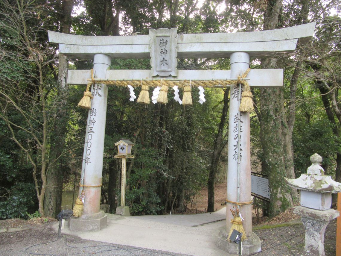 佐賀県武雄市にある武雄神社の武雄の大楠へ向かう道の鳥居。
