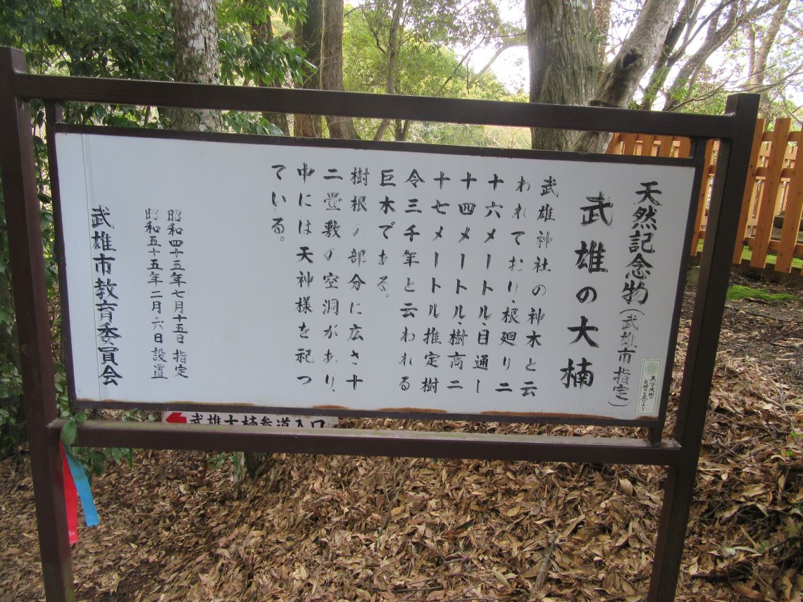 佐賀県武雄市にある武雄神社にある昭和55年（1980年）設置の武雄の大楠の説明看板。