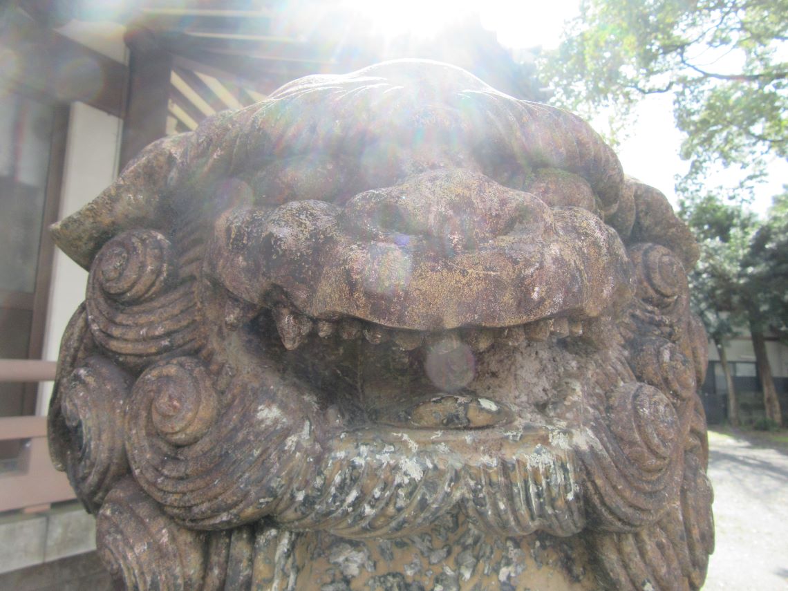 長崎市の中川八幡神社で撮影した、狛犬（獅子）の写真。