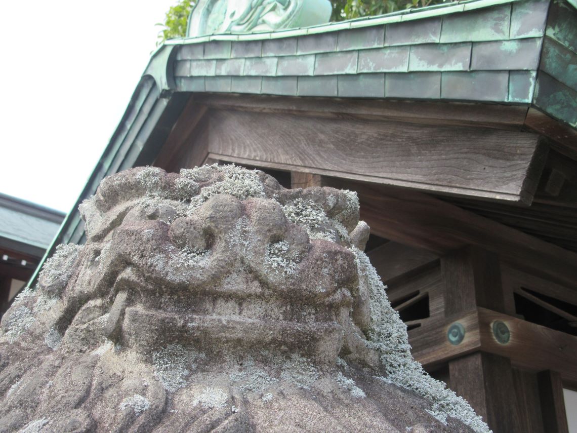 長崎市の諏訪神社で撮影した、拝殿の手前にある大きな吽の狛犬の写真。