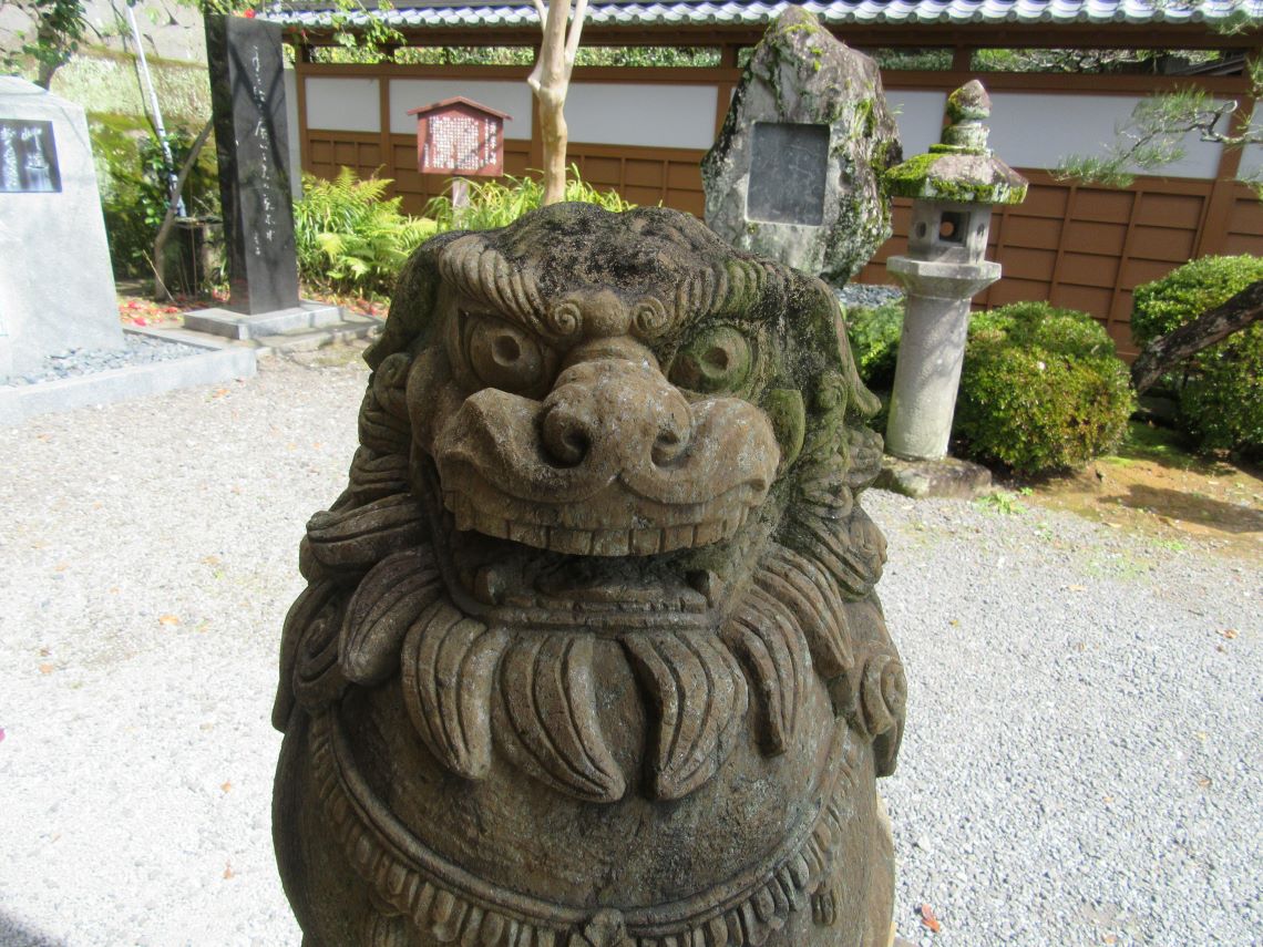 長崎市の諏訪神社で撮影した、驚いているような狛犬の写真。