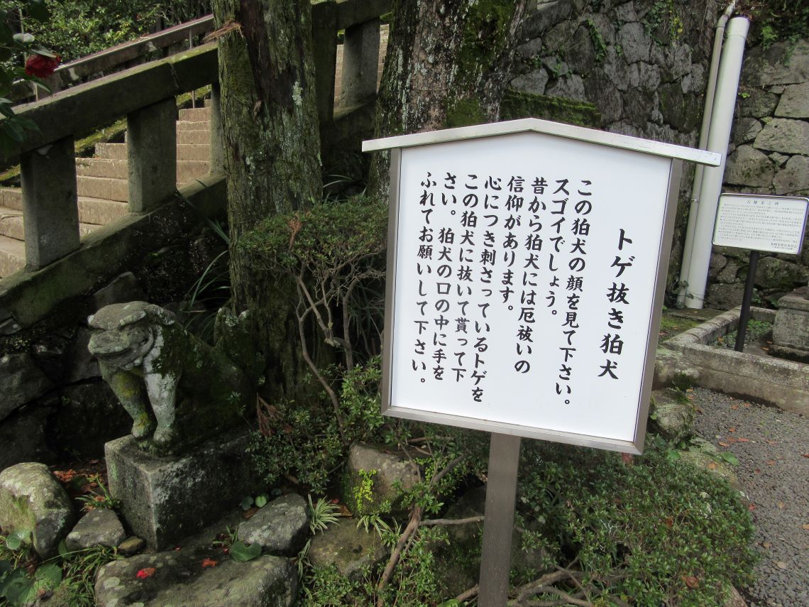 長崎市の諏訪神社で撮影した、トゲ抜き狛犬の写真。
