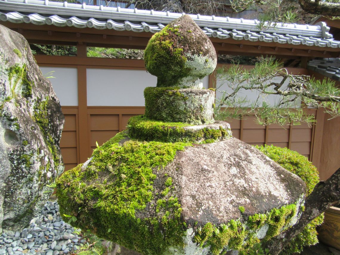 長崎市で撮影した神社の灯籠に生えている苔の写真。