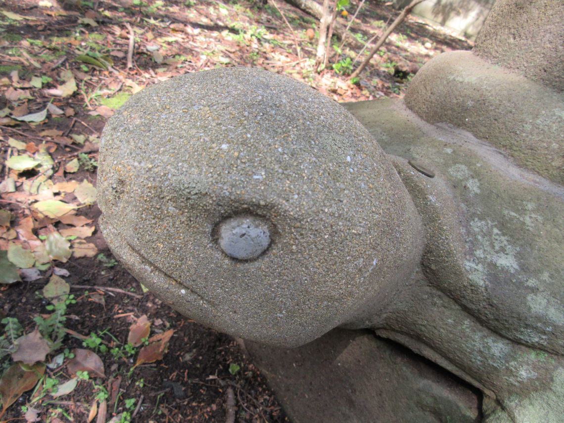 長崎市の松森天満宮で撮影した、亀趺（きふ）と呼ばれる亀の土台の顔を拡大して撮影。