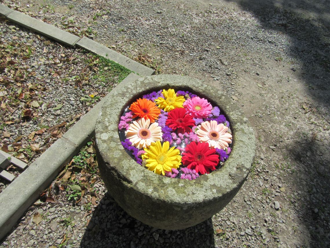長崎市の中川八幡神社の小さな花手水。