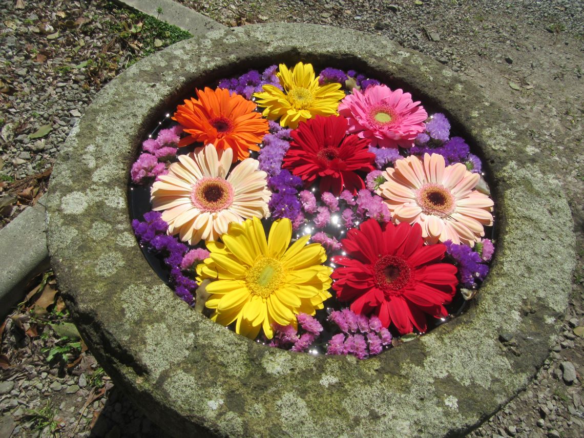 長崎市の中川八幡神社の水面がキラキラしている小さな花手水。