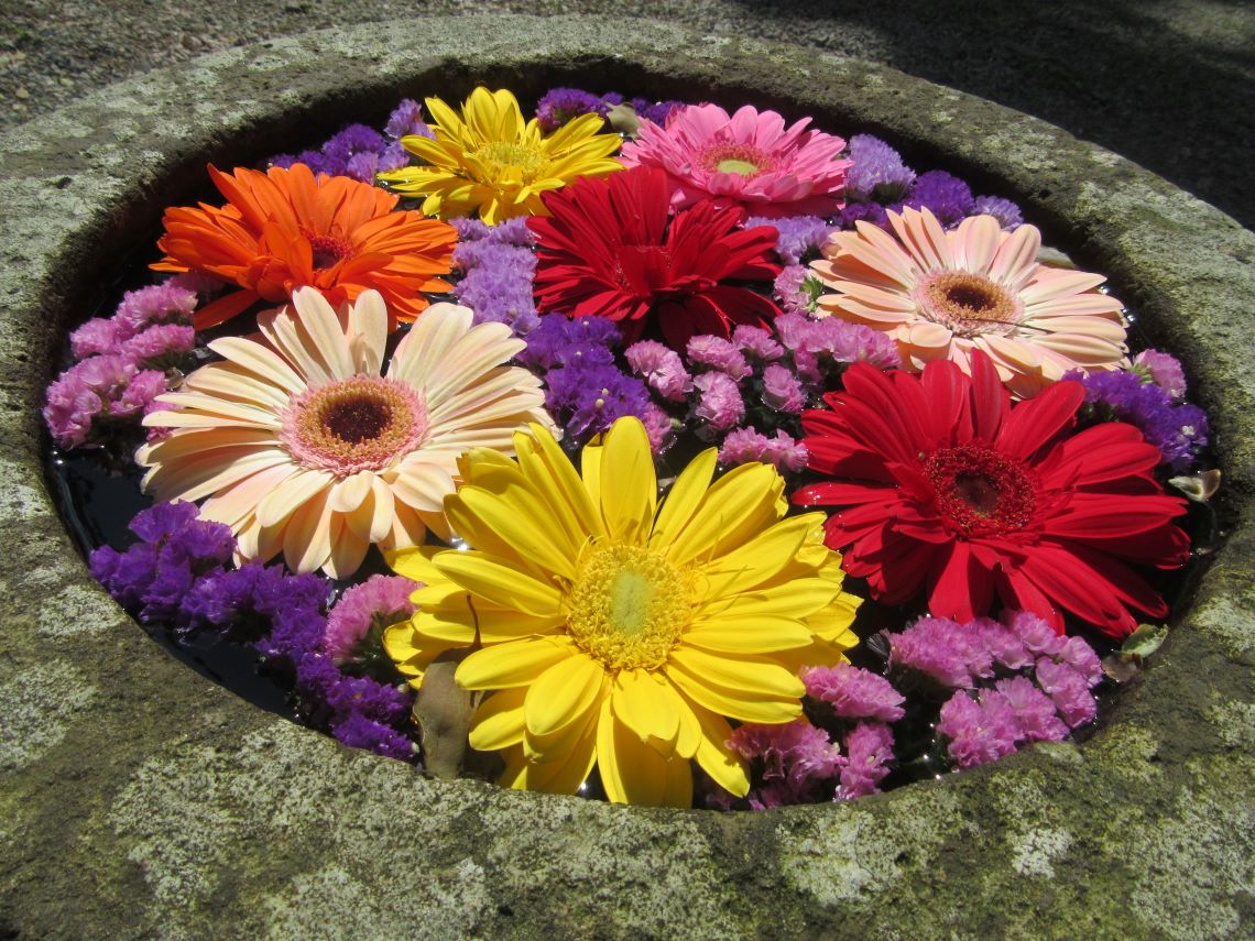 長崎市の中川八幡神社のカラフルな小さな花手水。