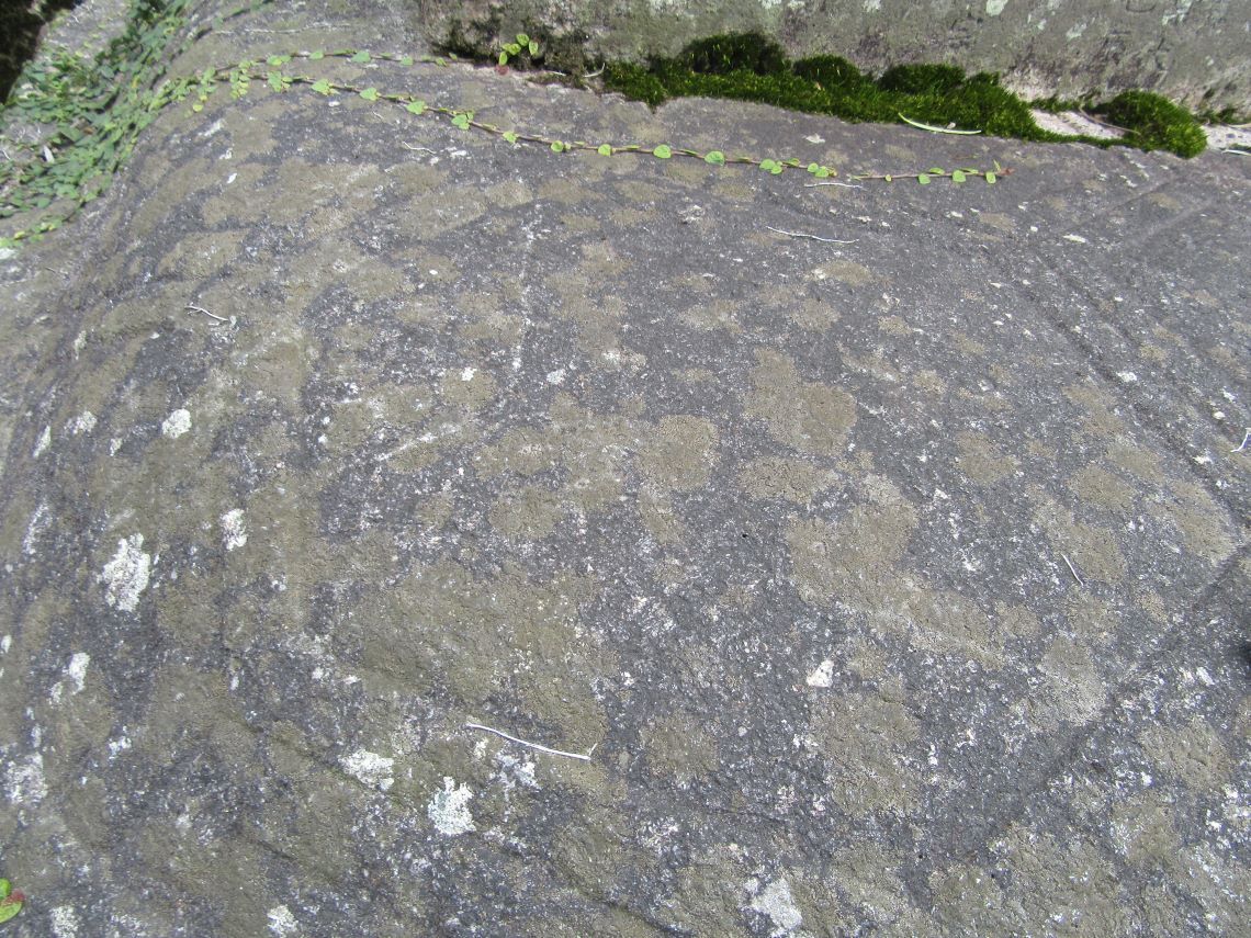 長崎市の大音寺の亀趺の六角形の亀甲模様の甲羅。