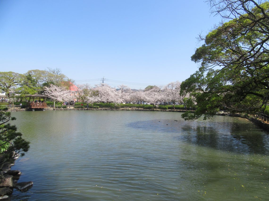長崎県大村市にある大村公園で撮影した、池と桜。