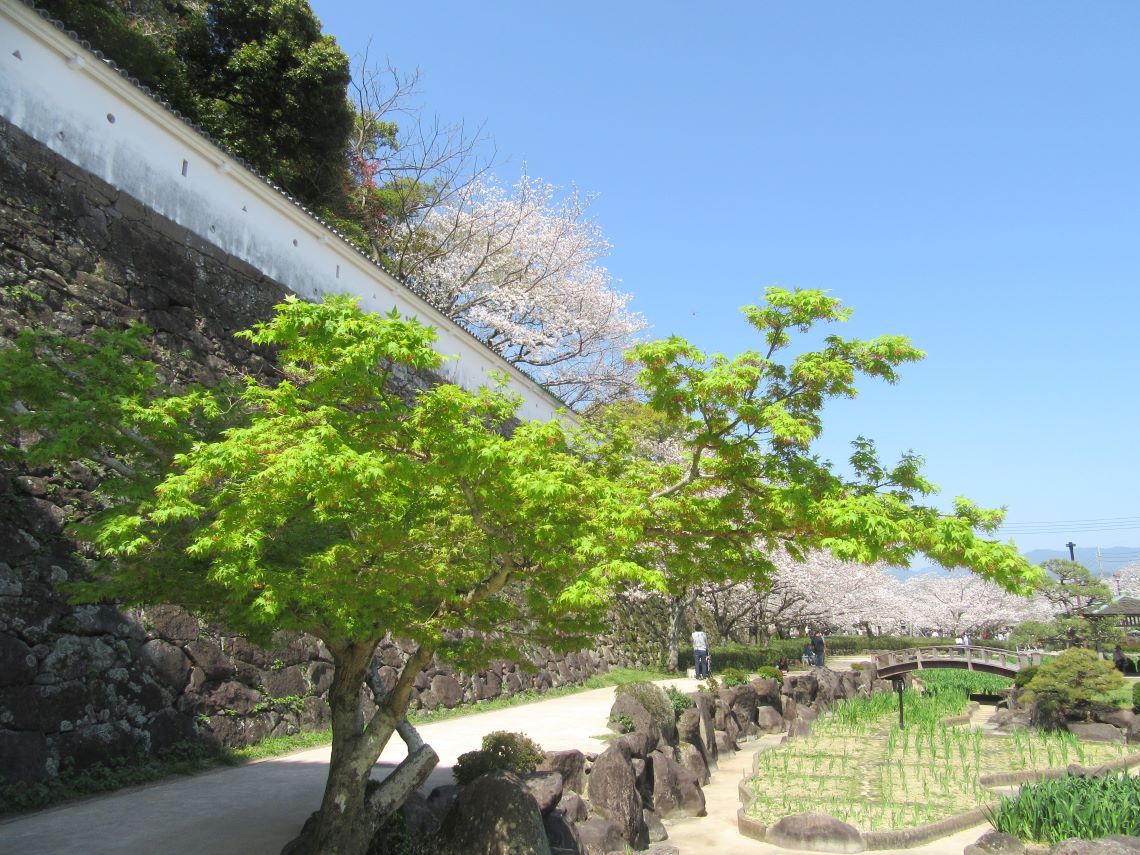 長崎県大村市にある大村公園で撮影した、玖島城（大村城）跡と緑と桜。