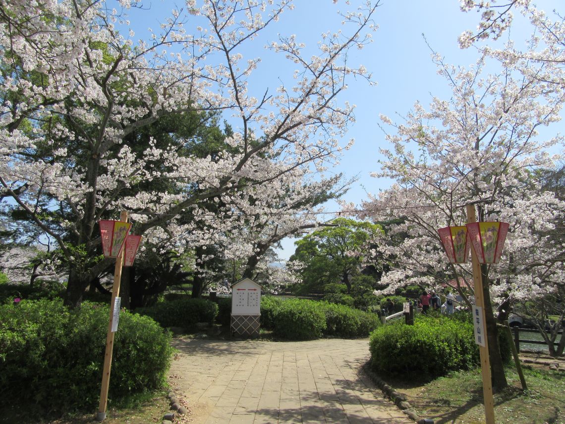 長崎県大村市にある大村公園で撮影した、桜と、和風の佇まい。