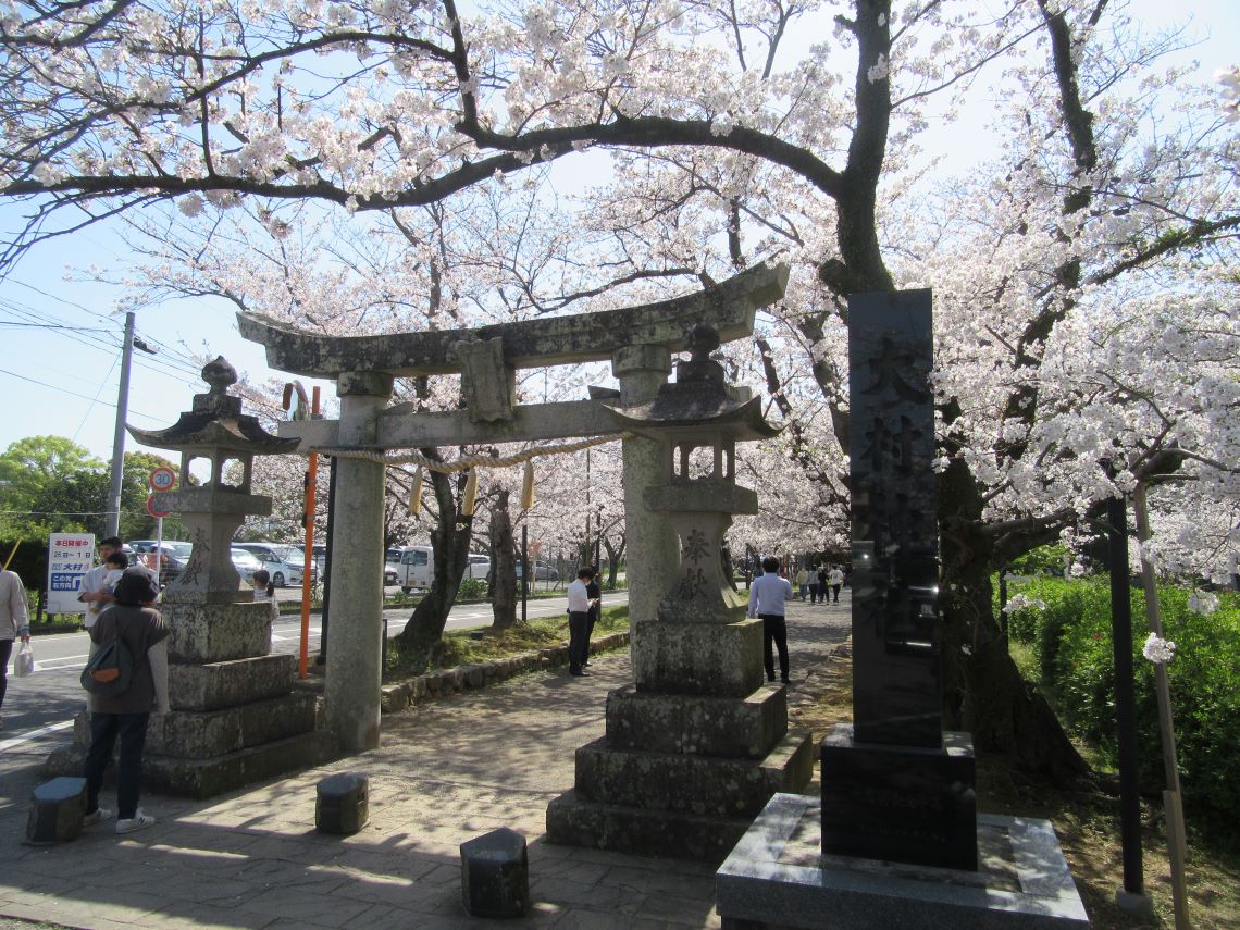 長崎県大村市にある大村公園で撮影した、鳥居と桜。