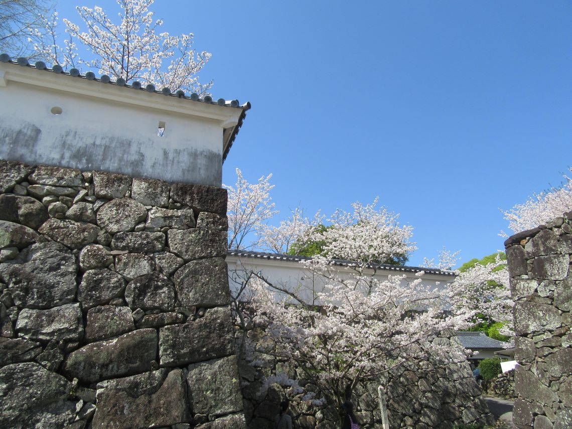 長崎県大村市にある大村神社で撮影した、お城特有の入り組んだ道に咲く桜。