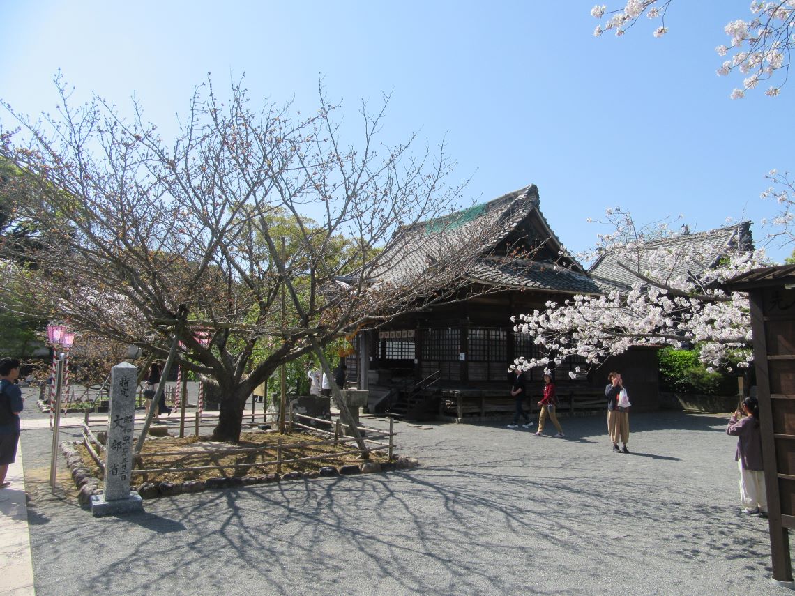 長崎県大村市で撮影した、参拝客で賑わう大村神社。