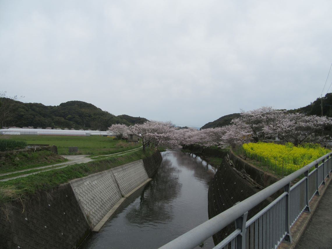 長崎県長崎市琴海戸根町で撮影した、琴海戸根川での風景。