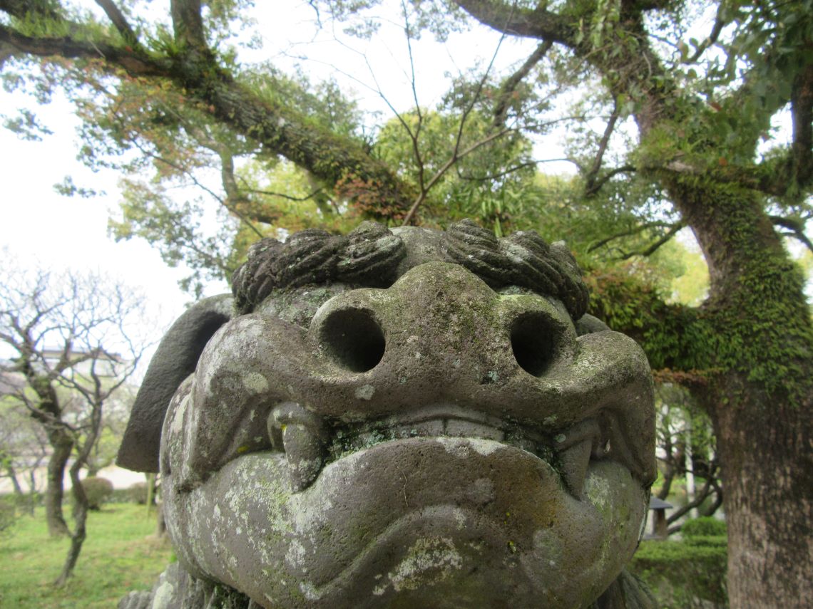 太宰府天満宮の鼻の大きな狛犬さん。