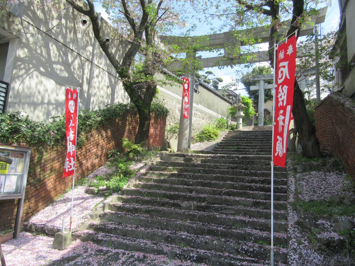 長崎市の中川八幡神社で撮影した、桜の散った花びらが彩る道。