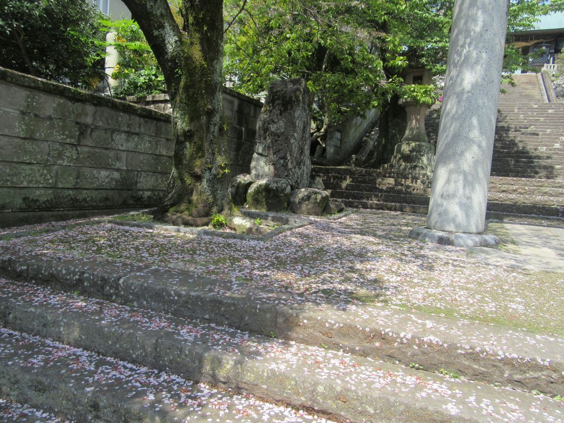 長崎市の鎮西大社諏訪神社で撮影した、桜の花びらが彩る石段。