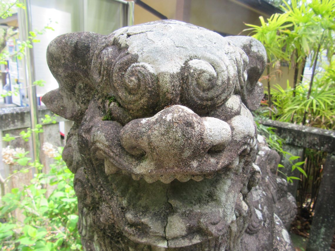 長崎市の鎮西大社諏訪神社で撮影した、味わい深い表情の狛犬さん。