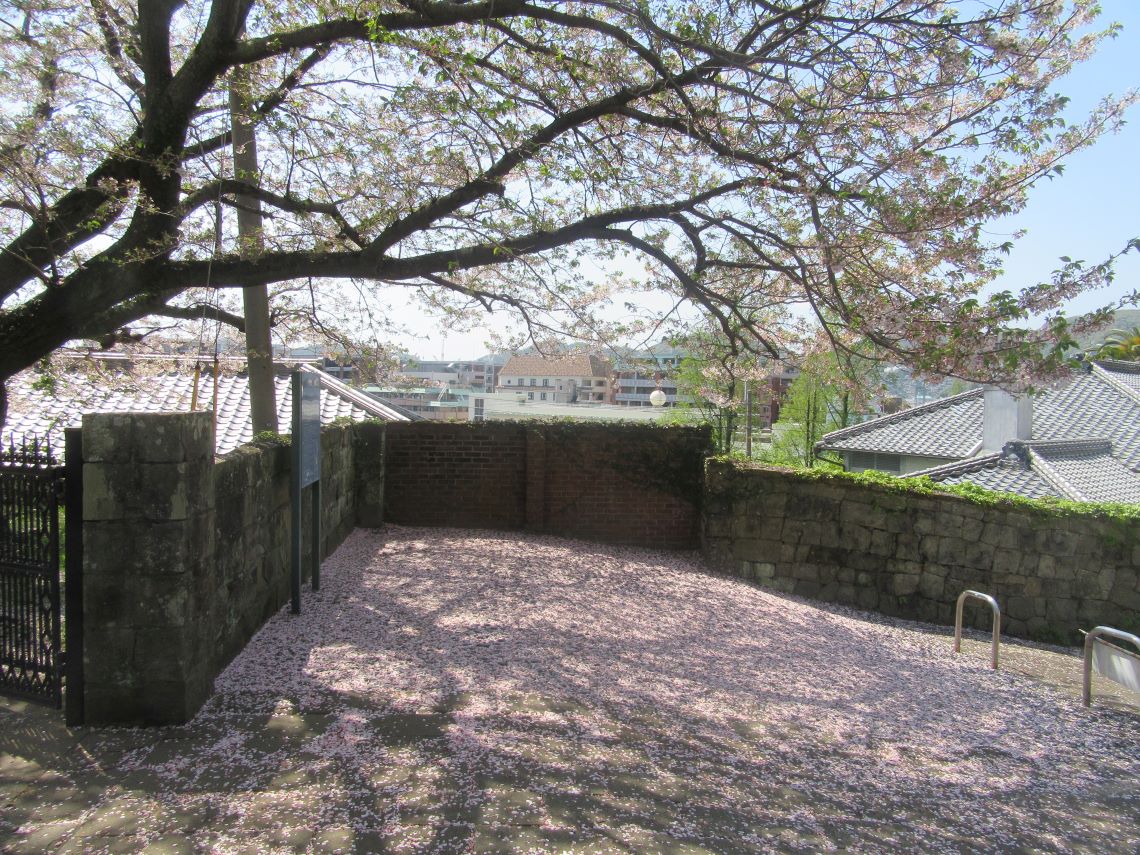 4月の長崎市オランダ坂周辺で撮影した、散った桜の花びらによるピンクの地面。