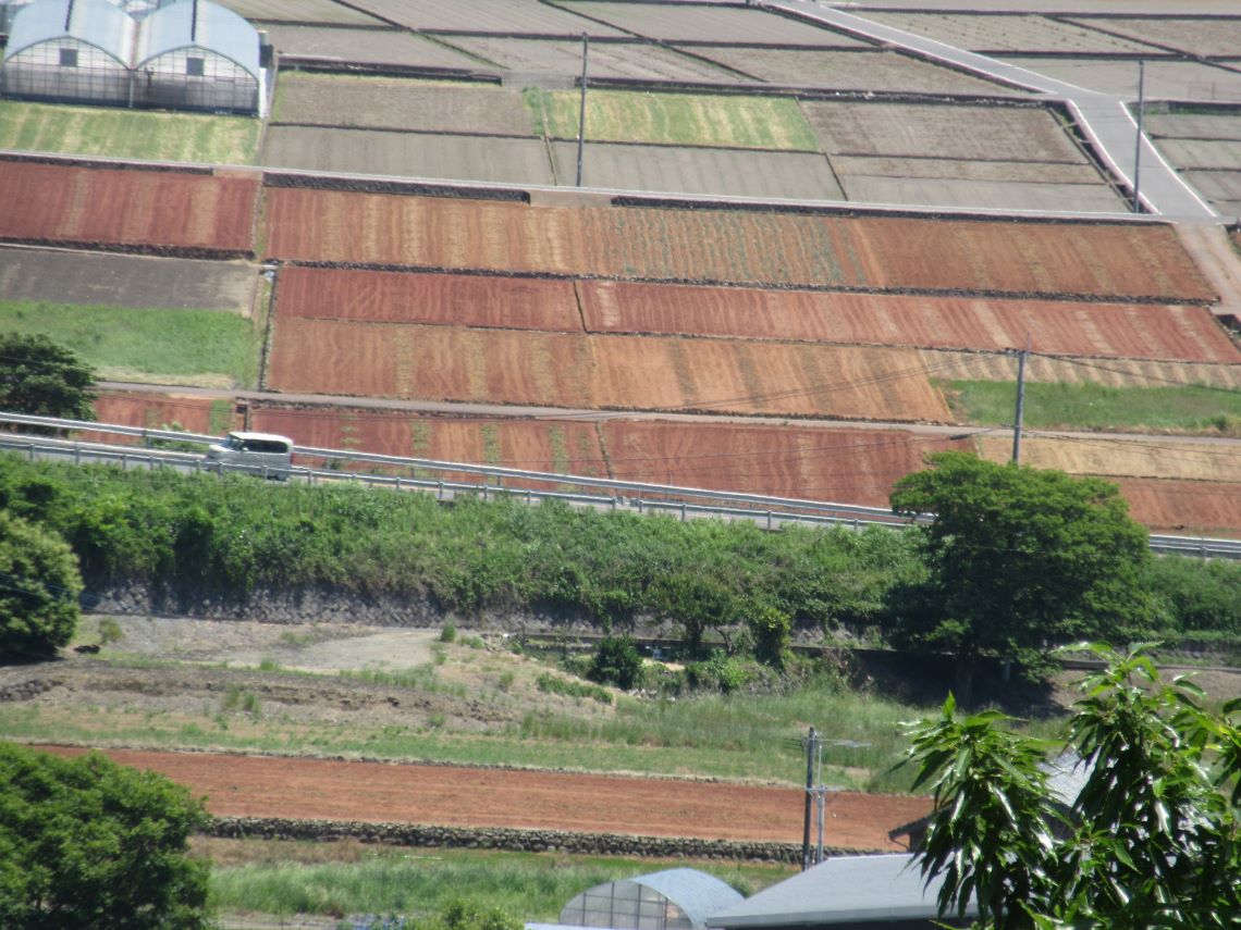 長崎県雲仙市千々石町にある千々石観光センターで撮影した、赤土の畑。