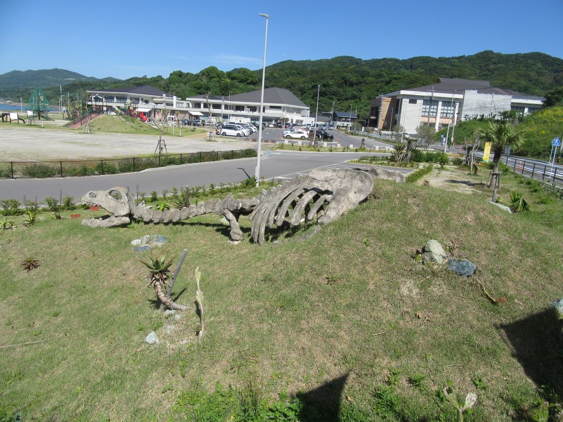 長崎市の長崎のもざき恐竜パークで撮影した、別の恐竜の化石型の石。