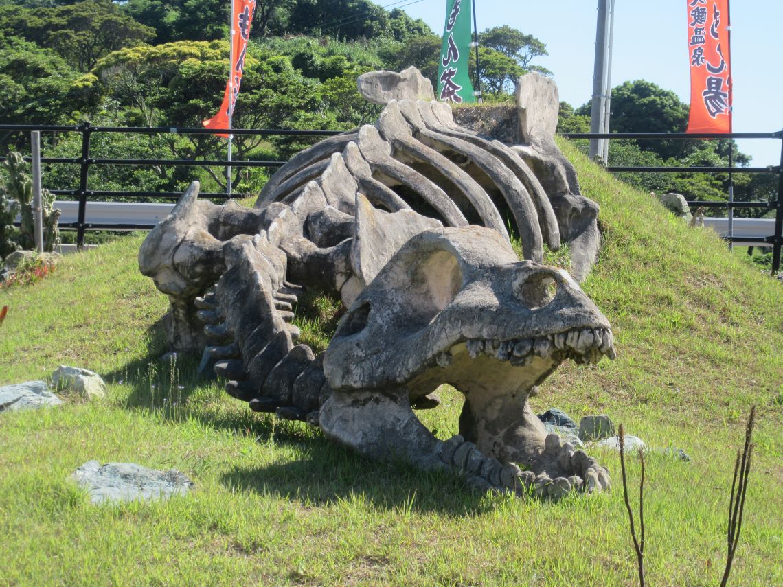 長崎市の長崎のもざき恐竜パークで撮影した、迫力満点の恐竜の化石型の石。