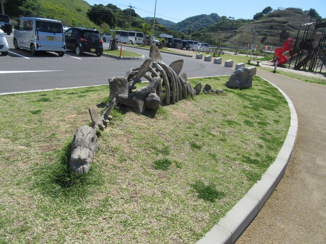 長崎市の長崎のもざき恐竜パークで撮影した、恐竜の化石の形の石。