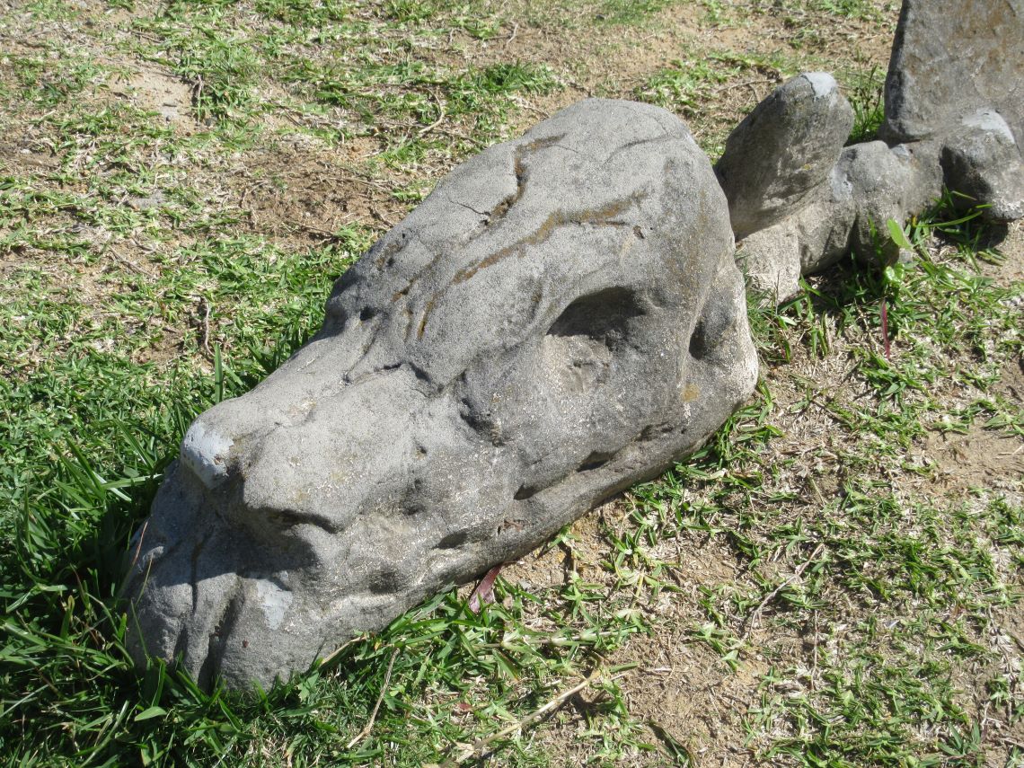 長崎市の長崎のもざき恐竜パークで撮影した、リアルな恐竜の顔の化石の形をした石。