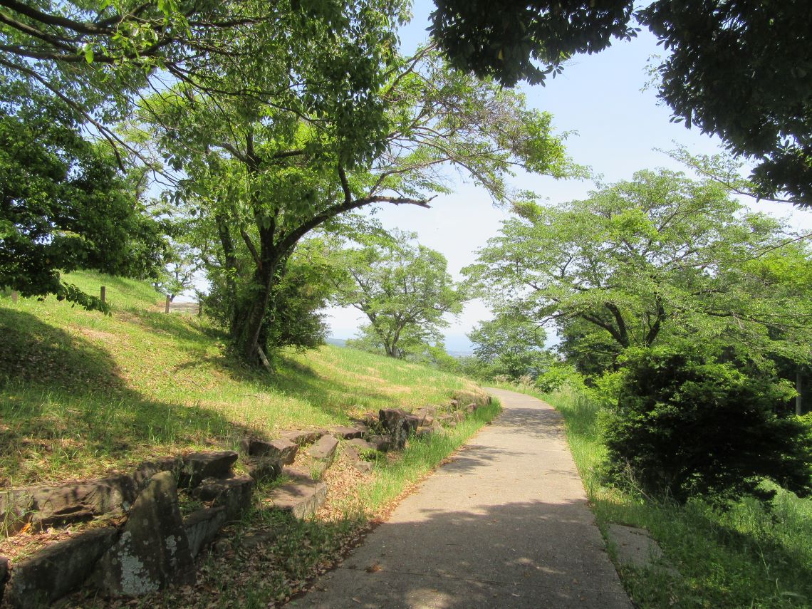 諫早市の白木峰高原で5月に撮影した、緑豊かな道。