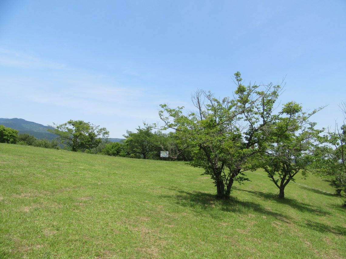 諫早市の白木峰高原で5月に撮影した、草原。