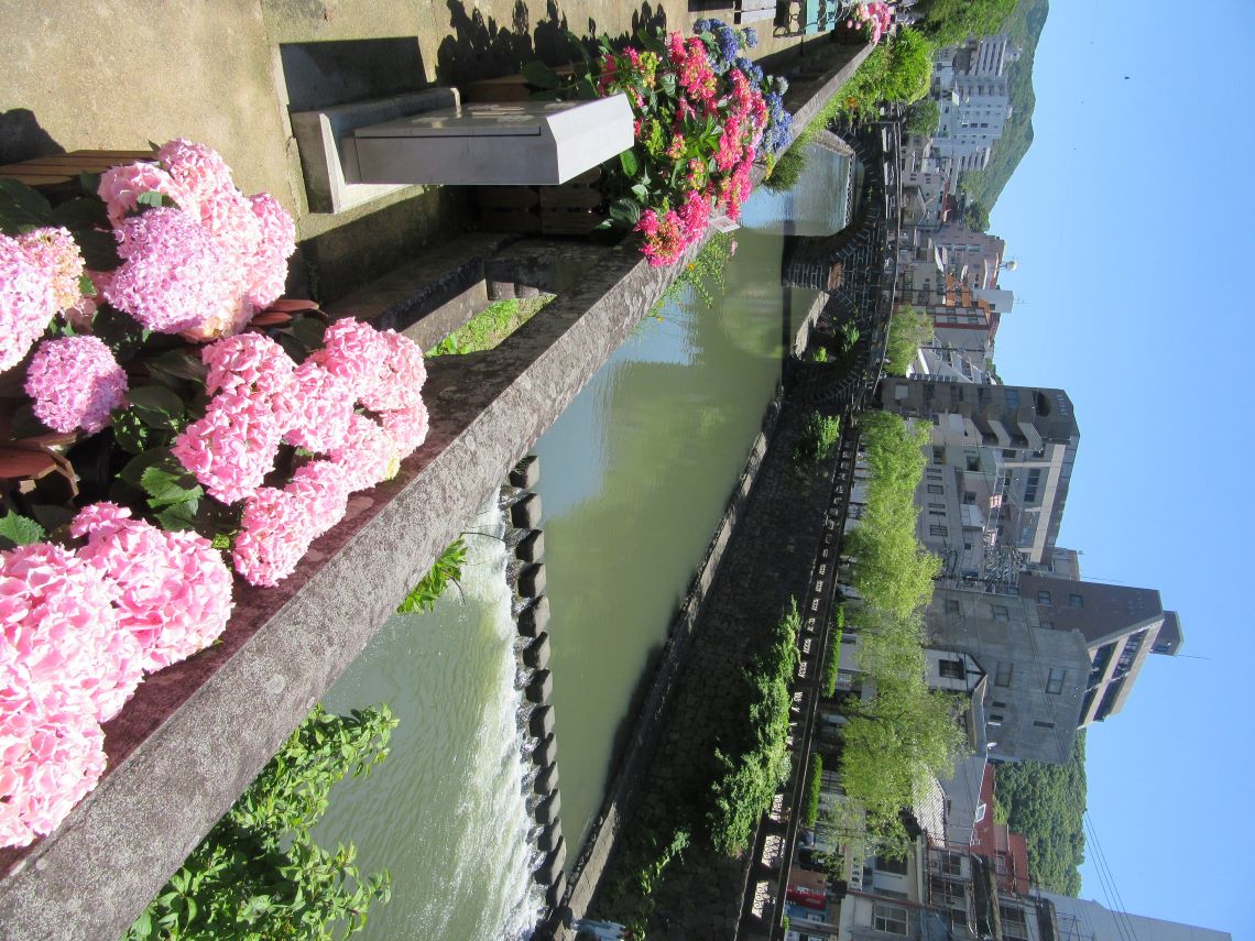 長崎市・眼鏡橋周辺で撮影した、紫陽花と眼鏡橋と中島川。