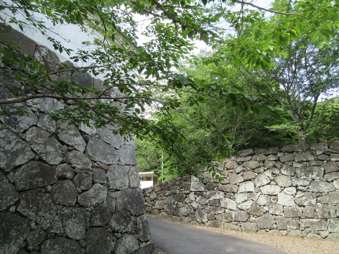 長崎県大村市の大村公園で撮影した、お城の跡地にある大村神社。