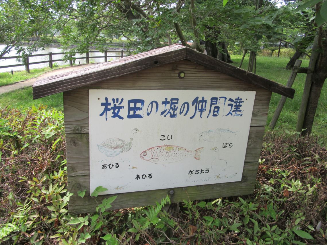長崎県大村市の大村公園で撮影した、年月を感じ味わい深い看板。