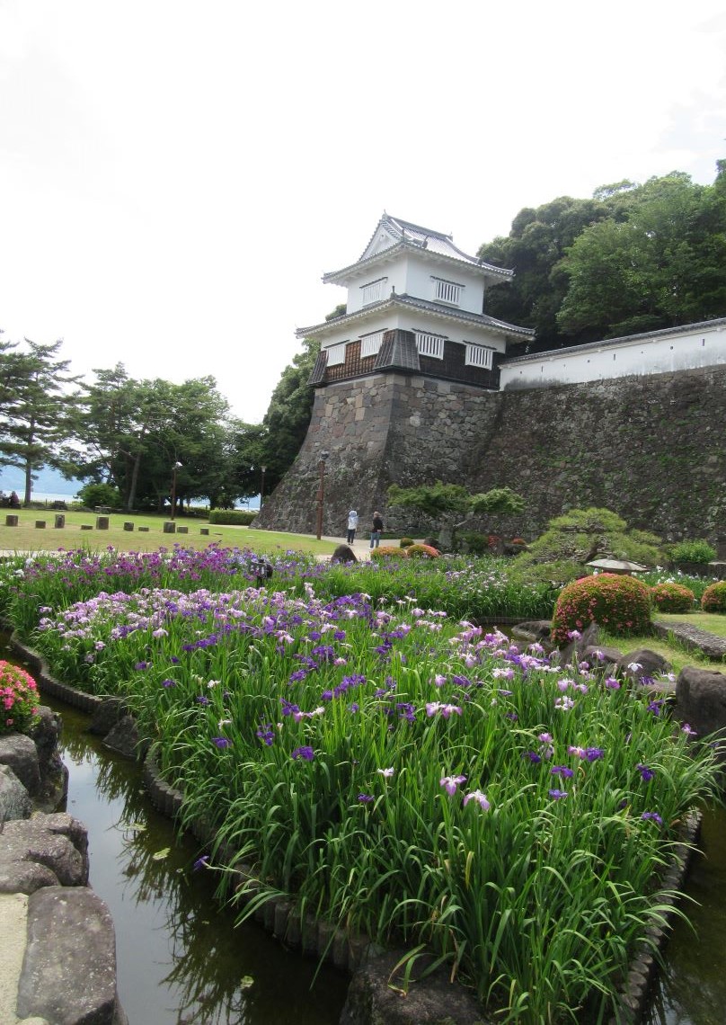 長崎県大村市の大村公園で撮影した、玖島城（大村城）跡と花菖蒲。