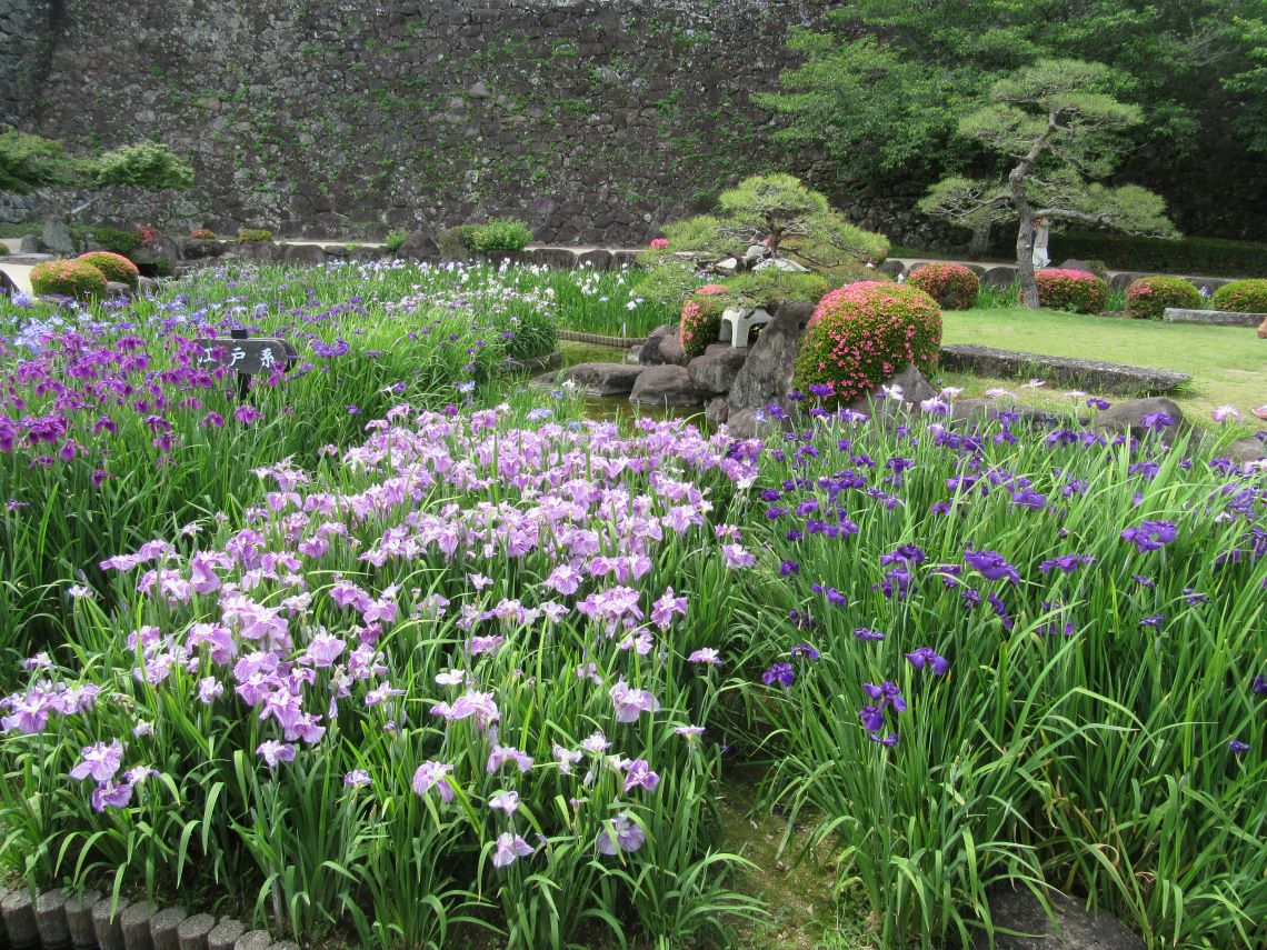長崎県大村市の大村公園で撮影した、和の雰囲気に癒やされる。