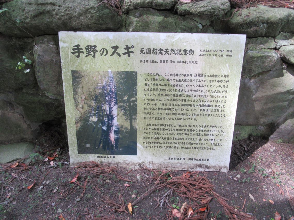 熊本県阿蘇市にある国造神社で撮影した、手野のスギの解説看板。