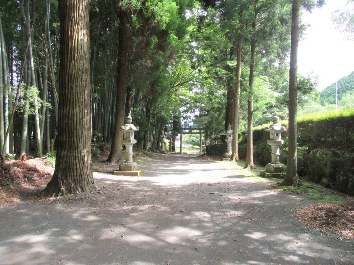 熊本県阿蘇市にある国造神社で撮影した、澄んだ空気の参道。